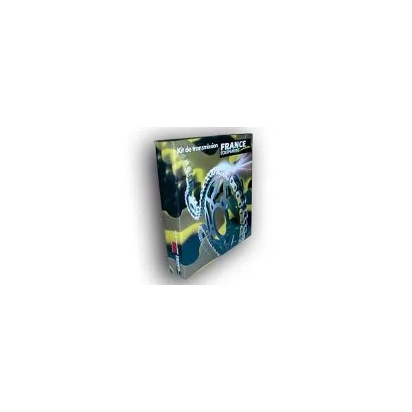 KIT CHAINE FE 600.LC4 GS '88/89 15X45 OR*
